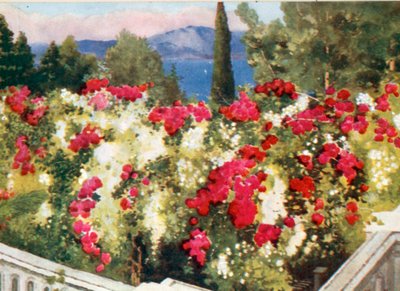 The Rose Pergola, the Achilleion, Corfu by Mima Nixon